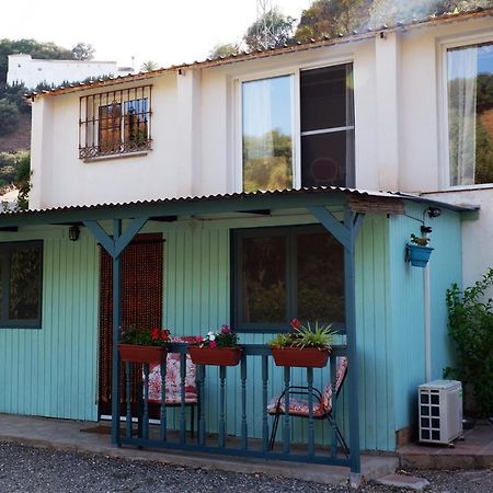 Vegan Guesthouse Finca Pereila Коин Экстерьер фото