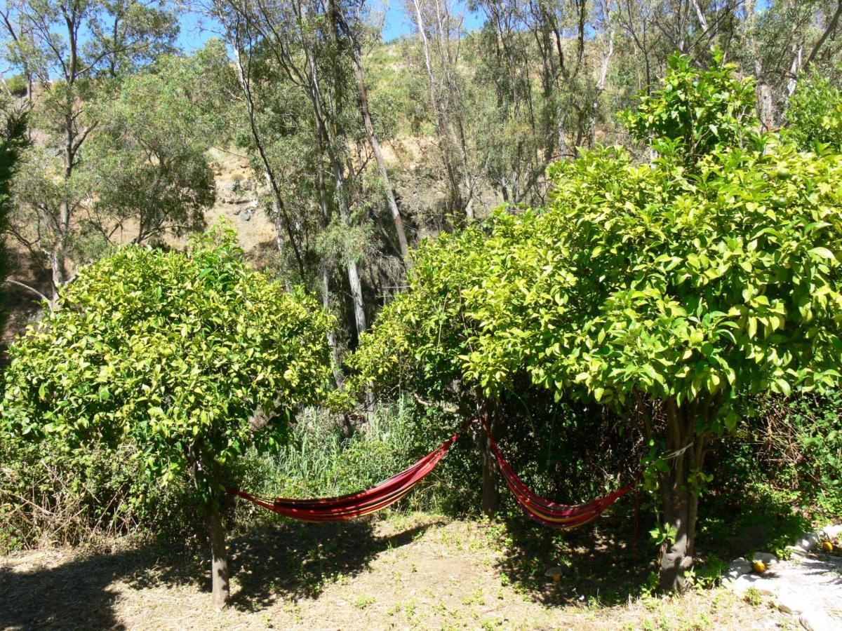 Vegan Guesthouse Finca Pereila Коин Экстерьер фото