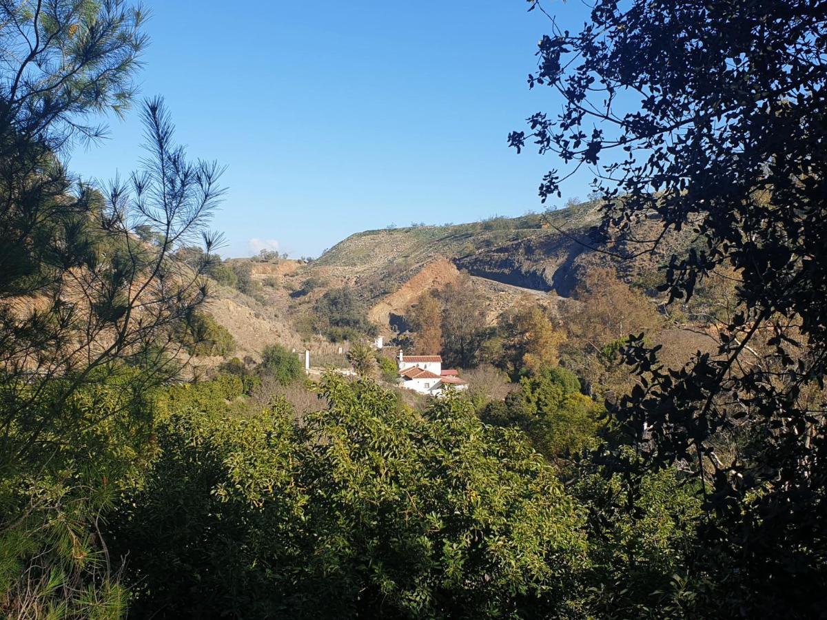 Vegan Guesthouse Finca Pereila Коин Экстерьер фото
