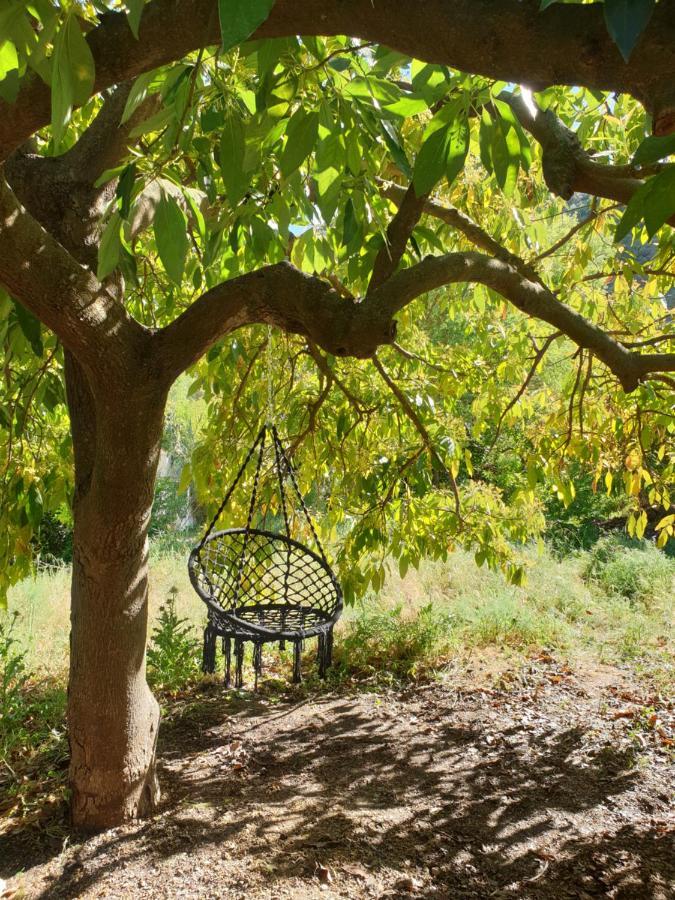 Vegan Guesthouse Finca Pereila Коин Экстерьер фото